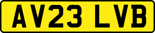 AV23LVB