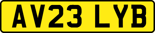 AV23LYB