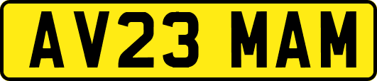 AV23MAM