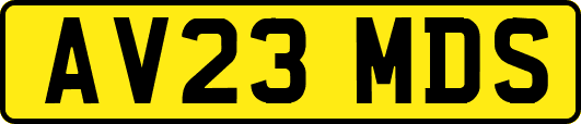 AV23MDS