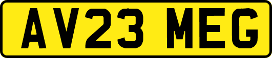 AV23MEG