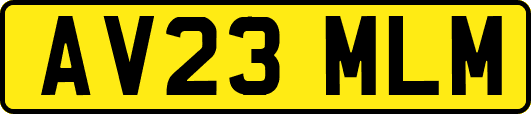 AV23MLM