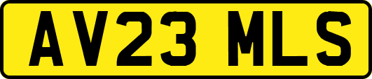 AV23MLS