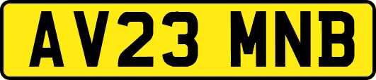 AV23MNB