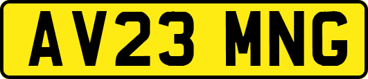 AV23MNG
