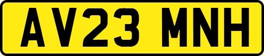 AV23MNH