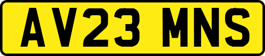 AV23MNS
