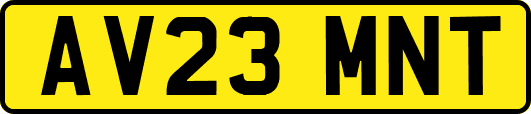 AV23MNT