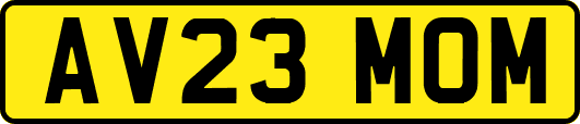 AV23MOM