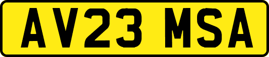AV23MSA