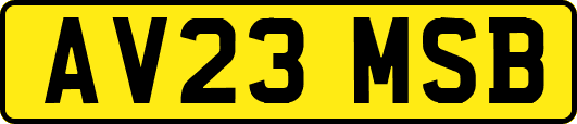 AV23MSB