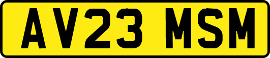 AV23MSM