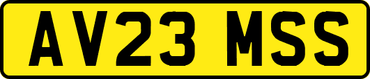 AV23MSS