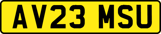 AV23MSU