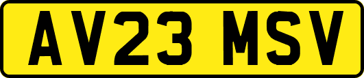 AV23MSV