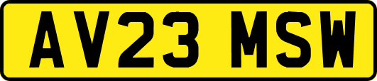AV23MSW