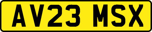 AV23MSX