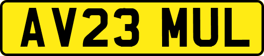 AV23MUL