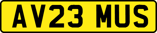 AV23MUS