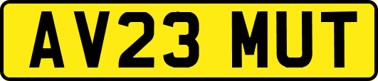 AV23MUT