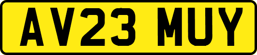 AV23MUY