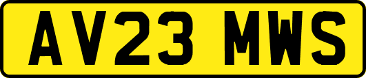 AV23MWS