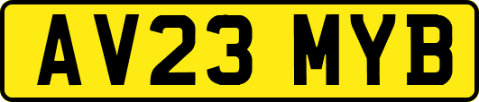 AV23MYB