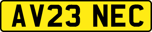 AV23NEC