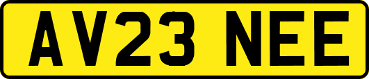 AV23NEE