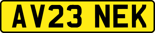 AV23NEK