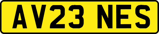 AV23NES