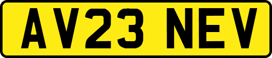 AV23NEV
