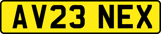 AV23NEX