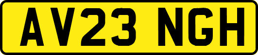 AV23NGH