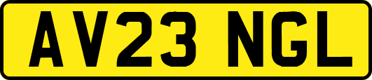 AV23NGL