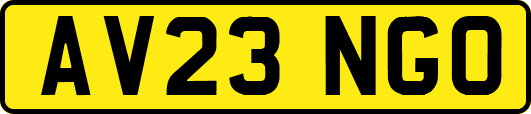 AV23NGO