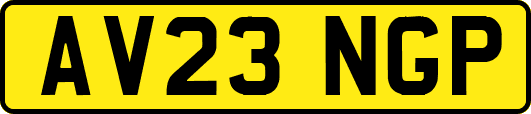 AV23NGP