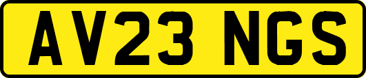 AV23NGS