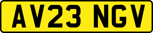 AV23NGV