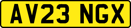 AV23NGX