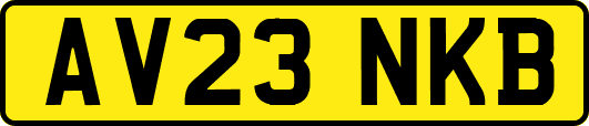 AV23NKB