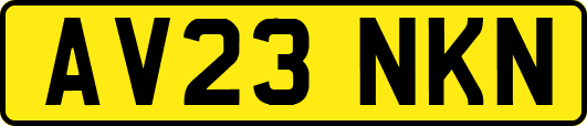 AV23NKN