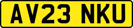 AV23NKU