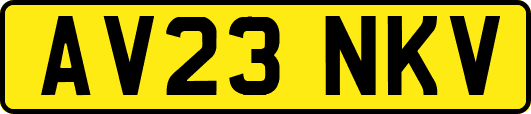 AV23NKV