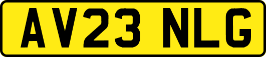 AV23NLG