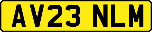 AV23NLM