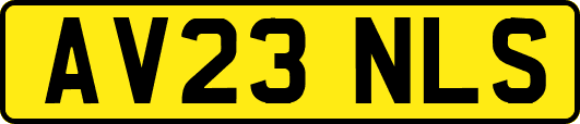 AV23NLS