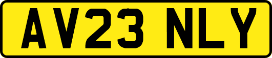 AV23NLY