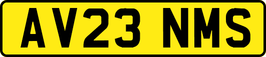 AV23NMS