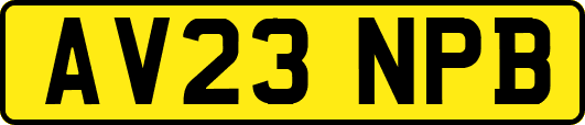 AV23NPB